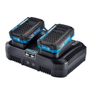 HERCULES 56224 Cargador Rápido De Puerto Dual Multivoltaje De Iones De Litio 20v / 12v Con Doble USB