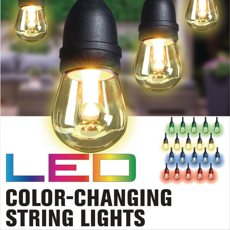 12 Cambio de color del bulbo cadena luces LED