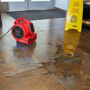 BAUER 56912 Soplador De Piso De 750 CFM 1/5 HP