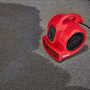 BAUER 56912 Soplador De Piso De 750 CFM 1/5 HP